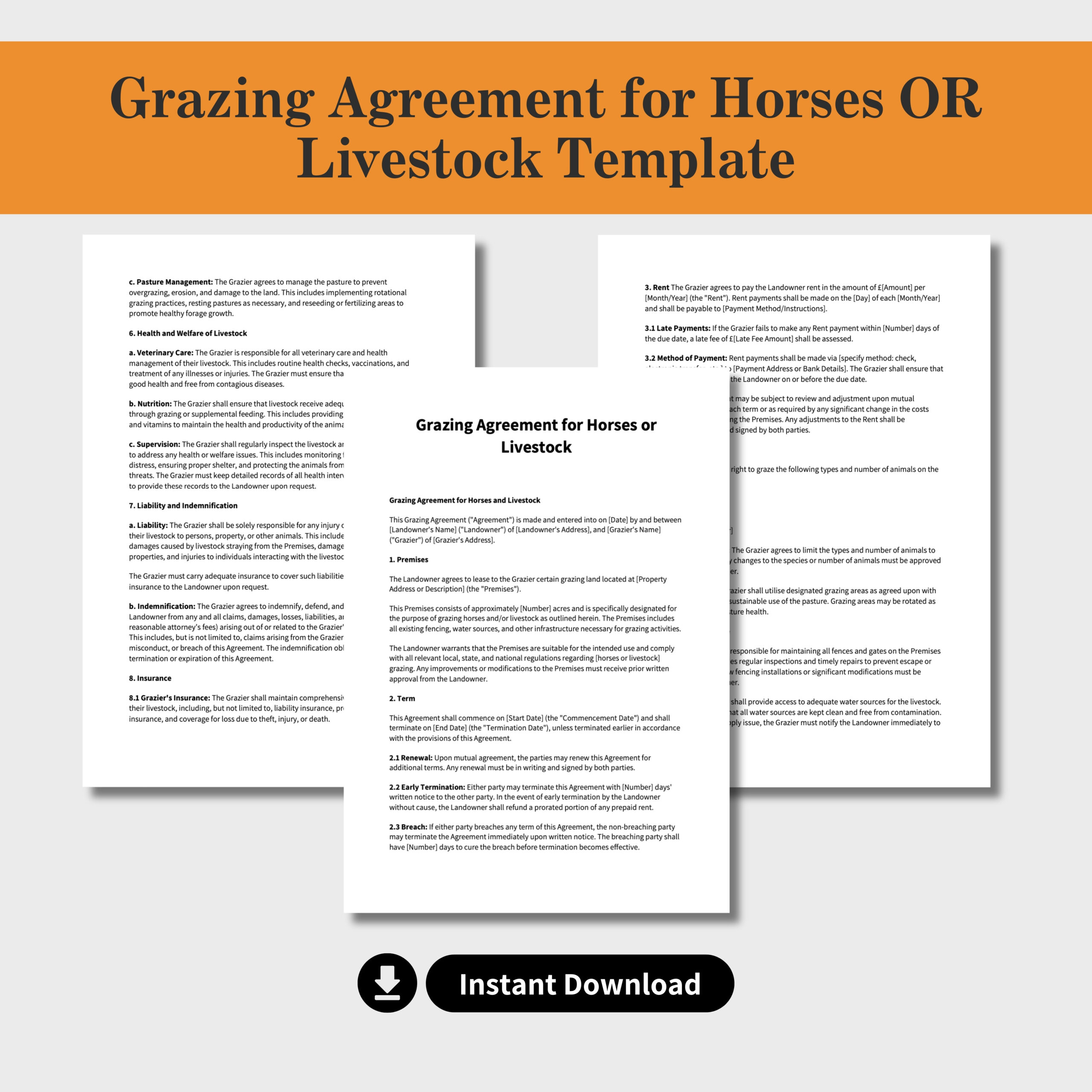 Grazing Agreement for Horses (or Livestock) Template - Image 2